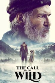 The Call of the Wild Full Movie 2020 (720p & 1080p)