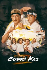 Cobra Kai Complete Season (1-6) (720p & 1080p)