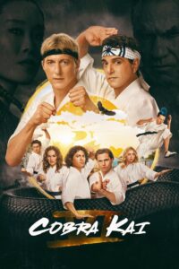 Cobra Kai Complete Season (1-6) (720p & 1080p)