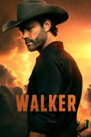 Walker Complete Season (1-4) (720p & 1080p)