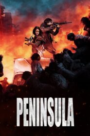 Peninsula (Train To Busan) Full Movie 2020 (720p & 1080p)
