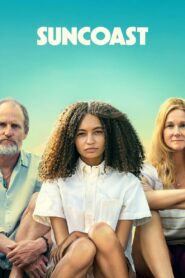 Suncoast Full Movie 2024 (720p & 1080p)