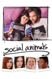 Social Animals Full Movie 2018 (720p & 1080p)