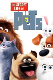 The Secret Life of Pets Full Movie 2016 (720p & 1080p)