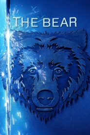 The Bear Complete Season (1-4) (720p & 1080p)