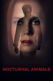 Nocturnal Animals Full Movie 2016 (720p & 1080p)