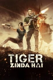 Tiger Zinda Hai Full Movie 2017 (720p & 1080p)