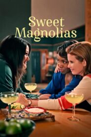 Sweet Magnolias Complete Season (1-4) (720p & 1080p)