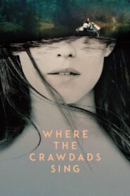 Where the Crawdads Sing Full Movie 2022 (720p & 1080p)