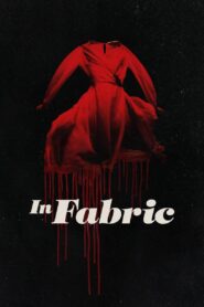 In Fabric Full Movie 2018 (720p & 1080p)