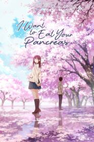 I Want to Eat Your Pancreas Full Movie 2018 (720p & 1080p)
