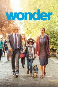 Wonder Full Movie 2017 (720p & 1080p)