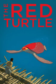 The Red Turtle Full Movie 2016 (720p & 1080p)