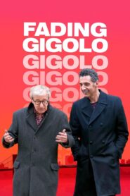 Fading Gigolo Full Movie 2013 (720p & 1080p)