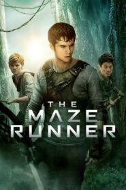 The Maze Runner Full Movie 2014 (720p & 1080p)
