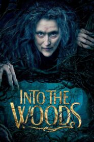 Into the Woods Full Movie 2014 (720p & 1080p)