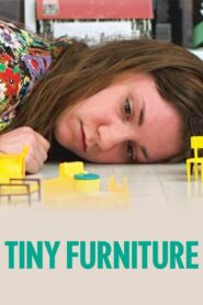 Tiny Furniture Full Movie 2010 (720p & 1080p)