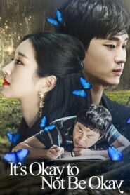 It’s Okay to Not Be Okay Complete Season (1) (720p & 1080p)