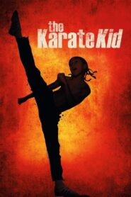The Karate Kid Full Movie 2010 (720p & 1080p)