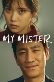 My Mister Complete Season (1) (720p & 1080p)