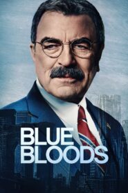 Blue Bloods Complete Season (1-9) (720p & 1080p)