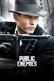 Public Enemies Full Movie 2009 (720p & 1080p)