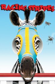Racing Stripes Full Movie 2005 (720p & 1080p)