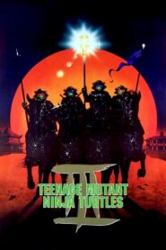 Teenage Mutant Ninja Turtles III Full Movie 1993 (720p & 1080p)