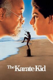 The Karate Kid Full Movie 1984 (720p & 1080p)