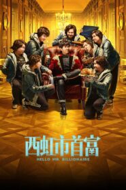 Hello Mr. Billionaire Full Movie 2018 (720p & 1080p)