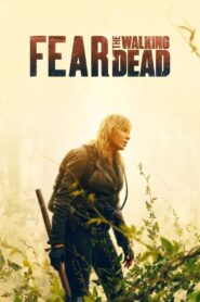 Fear the Walking Dead Complete Season (1-7) (720p & 1080p)