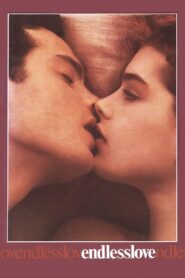 Endless Love Full Movie 1981 (720p & 1080p)