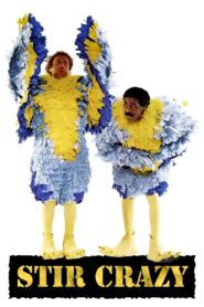 Stir Crazy Full Movie 1980 (720p & 1080p)