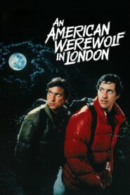 An American Werewolf in London Full Movie 1981 (720p & 1080p)