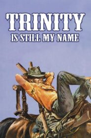 Trinity Is Still My Name Full Movie 1971 (720p & 1080p)