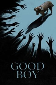 Good Boy Full Movie 2025 (720p & 1080p)