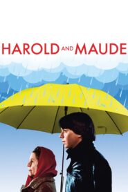 Harold and Maude Full Movie 1971(720p & 1080p)