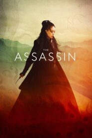 The Assassin Full Movie 2015 (720p & 1080p)