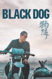 Black Dog Full Movie 2024 (720p & 1080p)