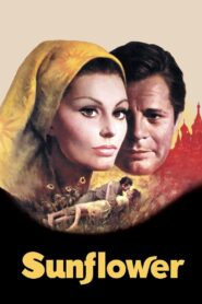 Sunflower Full Movie 1970 (720p & 1080p)