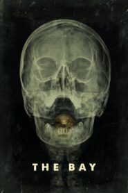 The Bay Full Movie 2012 (720p & 1080p)