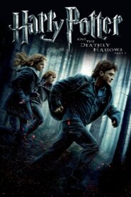 Harry Potter and the Deathly Hallows: Part 1 Full Movie 2010 (720p & 1080p)