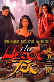 The Heroic Trio Full Movie 1993 (720p & 1080p)