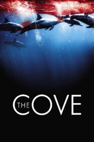 The Cove Full Movie 2009 (720p & 1080p)