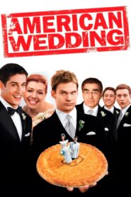 American Wedding Full Movie 2003 (720p & 1080p)