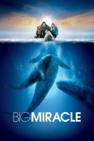 Big Miracle Full Movie 2012 (720p & 1080p)
