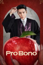 Pro Bono Complete Season (1) (720p & 1080p)