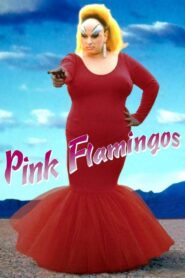 Pink Flamingos Full Movie 1972 (720p & 1080p)