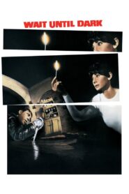 Wait Until Dark Full Movie 1969 (720p & 1080p)