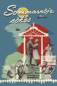 Summer Place Wanted Full Movie (720p & 1080p)